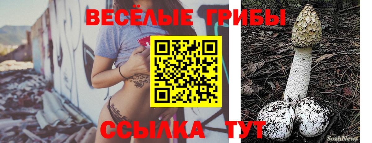 Псилоцибиновые грибы Cubensis  Вход с VPN  Майский 