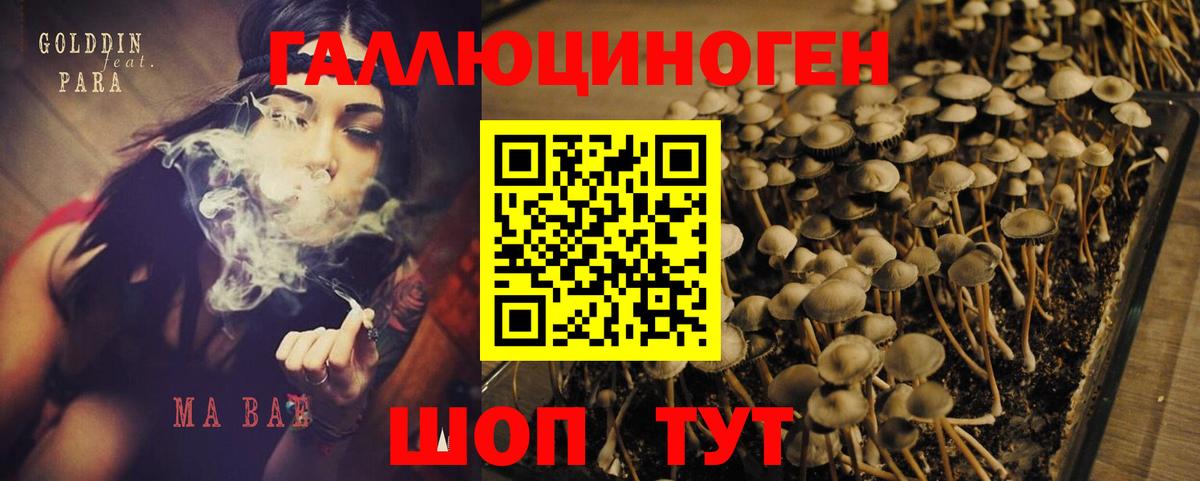 Галлюциногенные грибы прущие грибы Майский